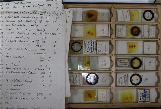 A collection of early 20th century medical slides